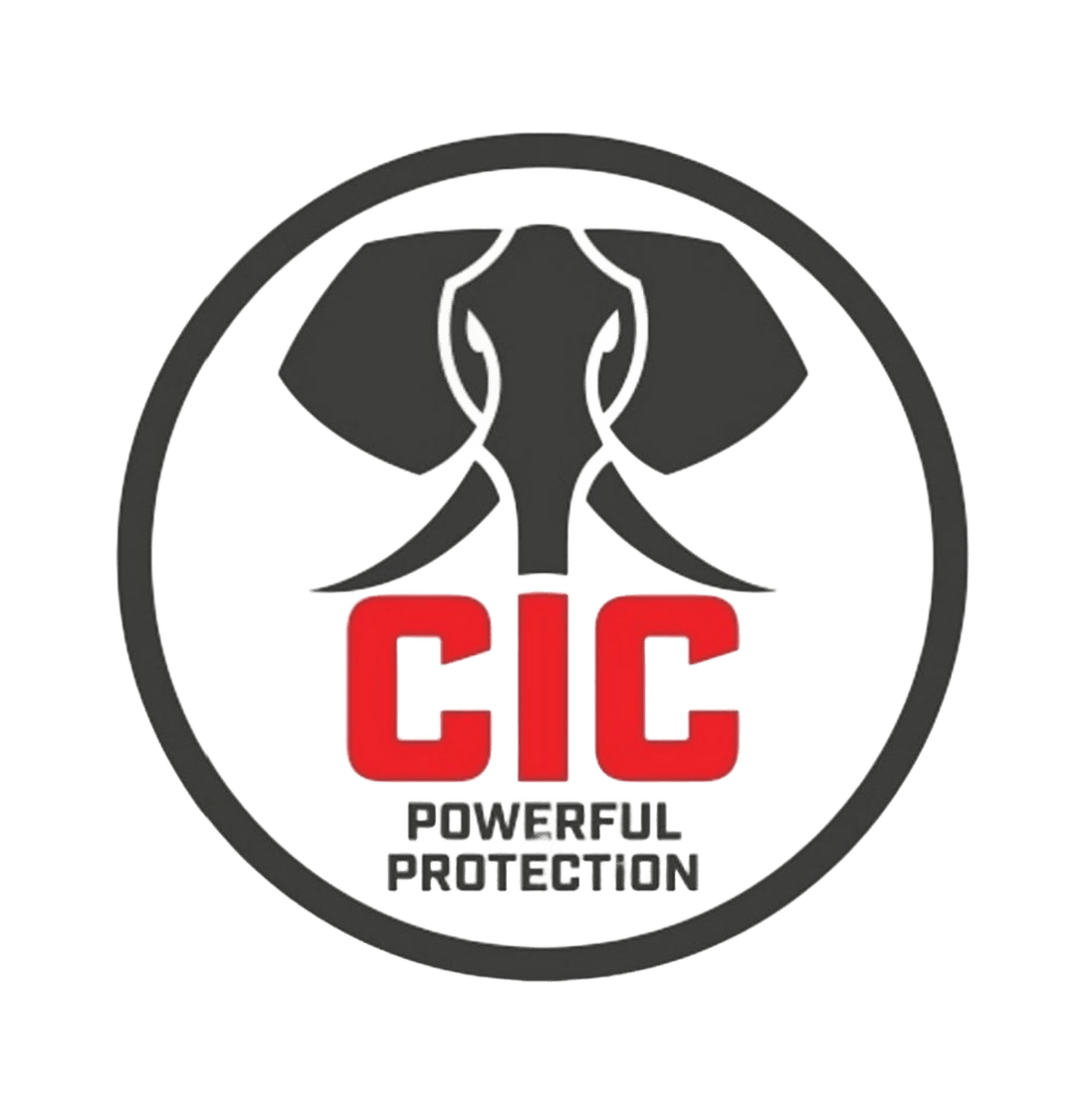 CIC